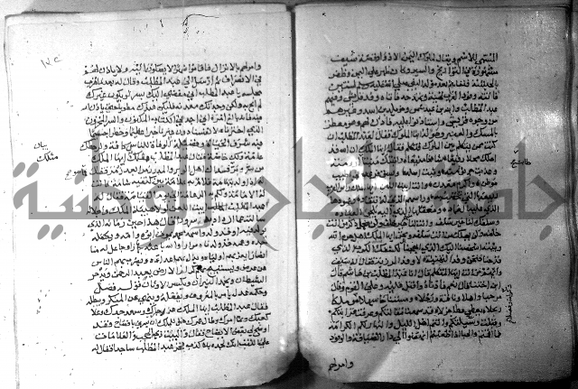 نسيم الرياض 3 