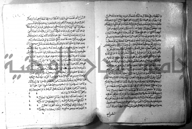 نسيم الرياض 3 