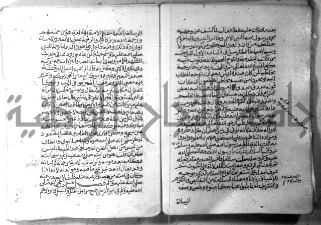 نسيم الرياض 3 