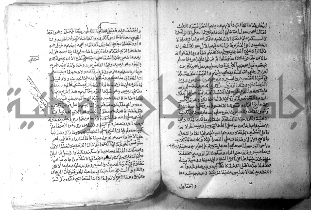 نسيم الرياض 3 