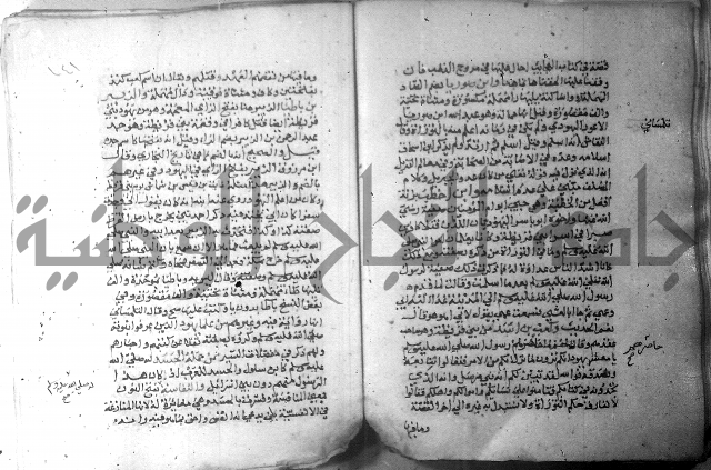 نسيم الرياض 3 