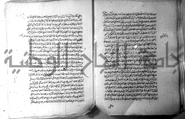 نسيم الرياض 3 