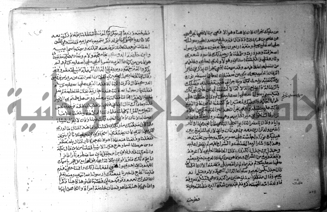 نسيم الرياض 3 