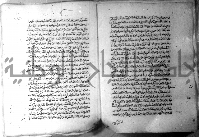 نسيم الرياض 3 