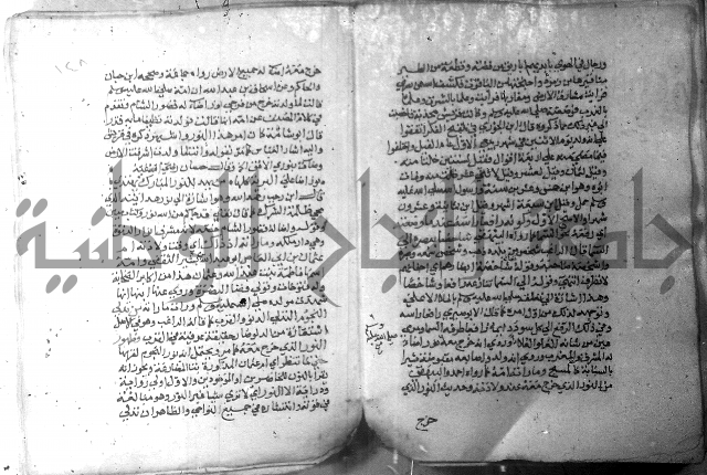 نسيم الرياض 3 