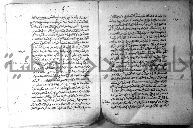 نسيم الرياض 3 