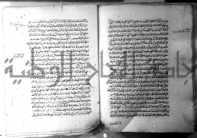 نسيم الرياض 3 
