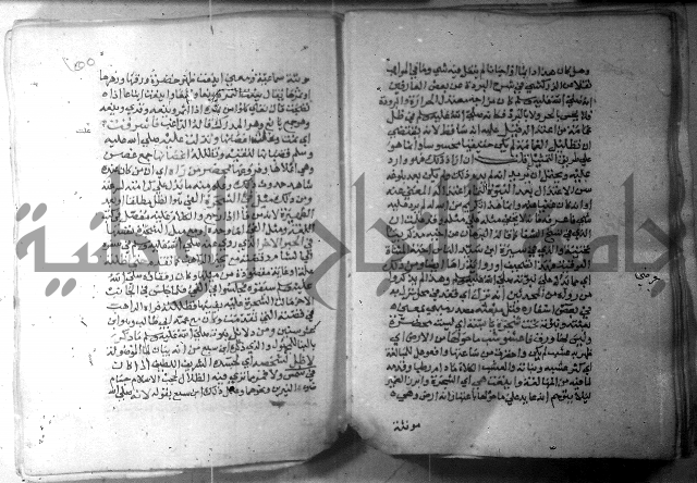 نسيم الرياض 3 