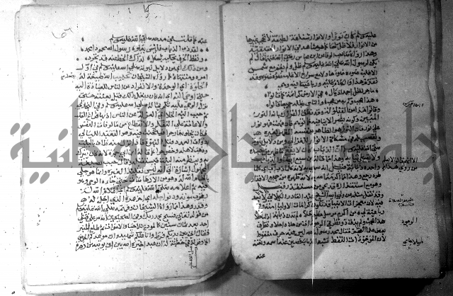 نسيم الرياض 3 