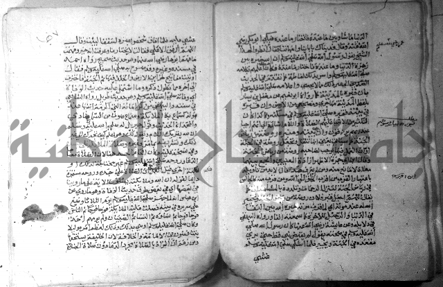 نسيم الرياض 3 