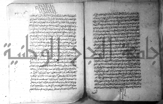 نسيم الرياض 3 