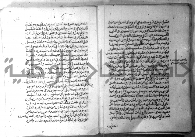 نسيم الرياض 3 