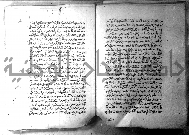 نسيم الرياض 3 
