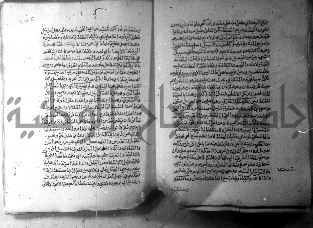 نسيم الرياض 3 