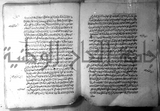 نسيم الرياض 3 
