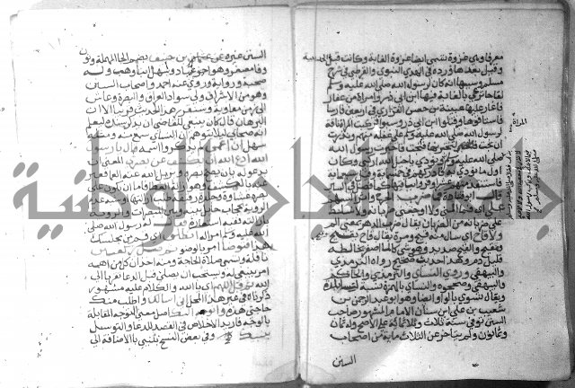 نسيم الرياض 3 