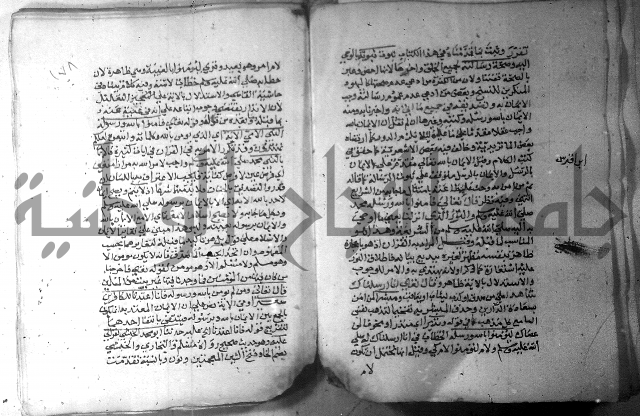 نسيم الرياض 3 