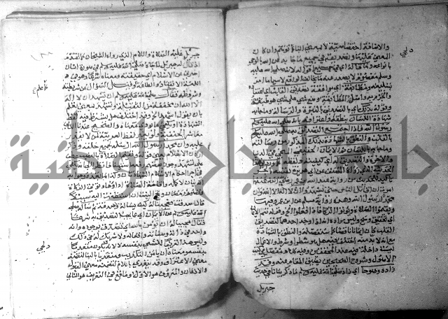 نسيم الرياض 3 