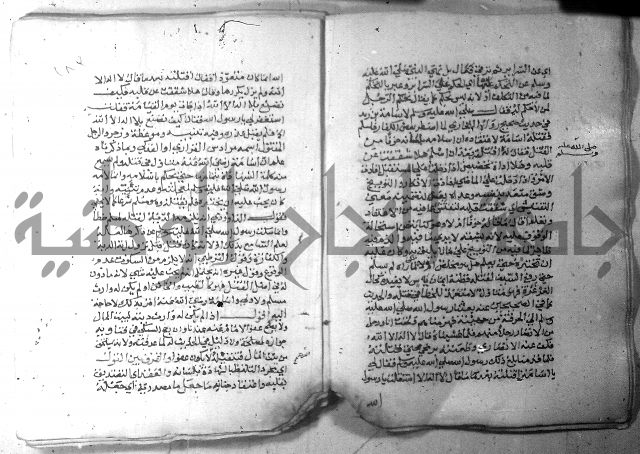 نسيم الرياض 3 