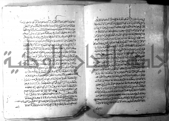 نسيم الرياض 3 