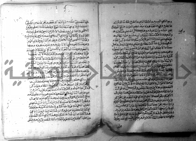 نسيم الرياض 3 