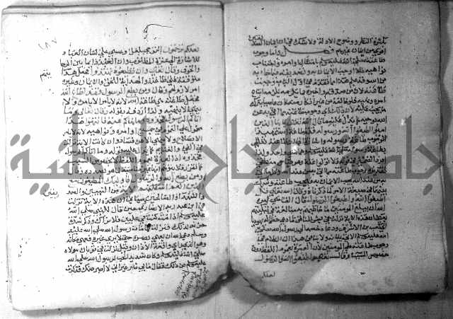 نسيم الرياض 3 