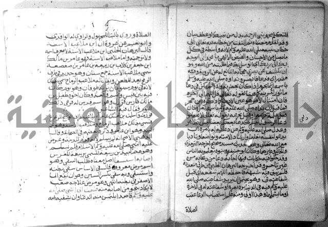 نسيم الرياض 3 