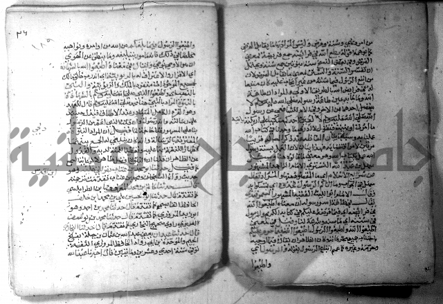 نسيم الرياض 3 