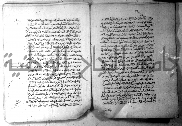نسيم الرياض 3 