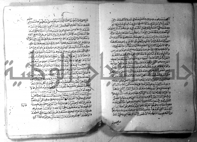 نسيم الرياض 3 