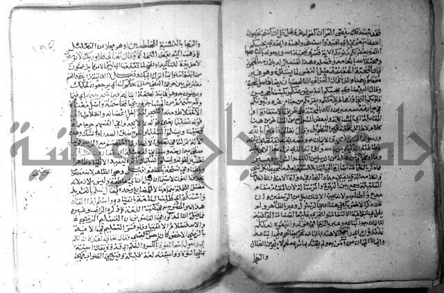 نسيم الرياض 3 