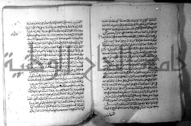 نسيم الرياض 3 