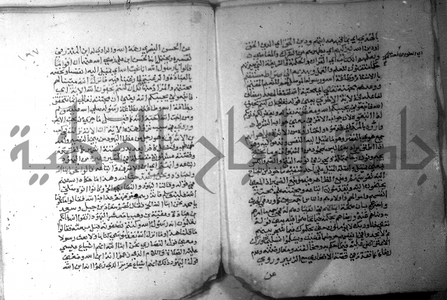 نسيم الرياض 3 