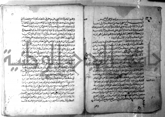 نسيم الرياض 3 