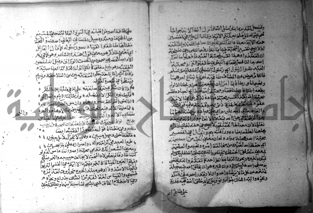 نسيم الرياض 3 