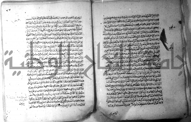 نسيم الرياض 3 