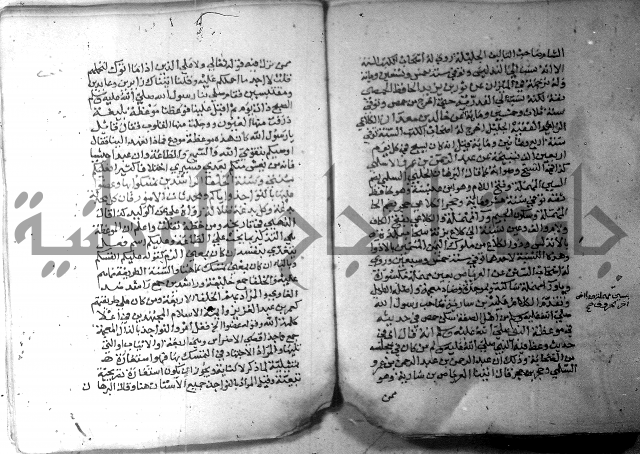 نسيم الرياض 3 