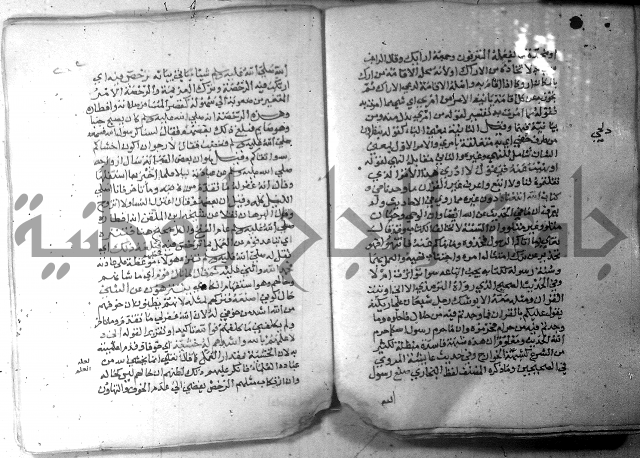 نسيم الرياض 3 