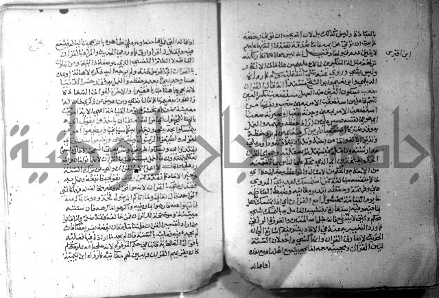 نسيم الرياض 3 