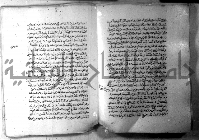 نسيم الرياض 3 