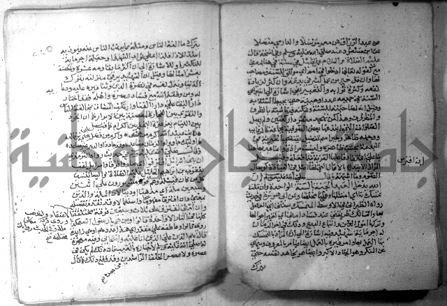 نسيم الرياض 3 