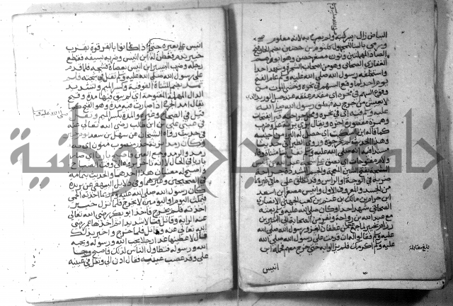 نسيم الرياض 3 