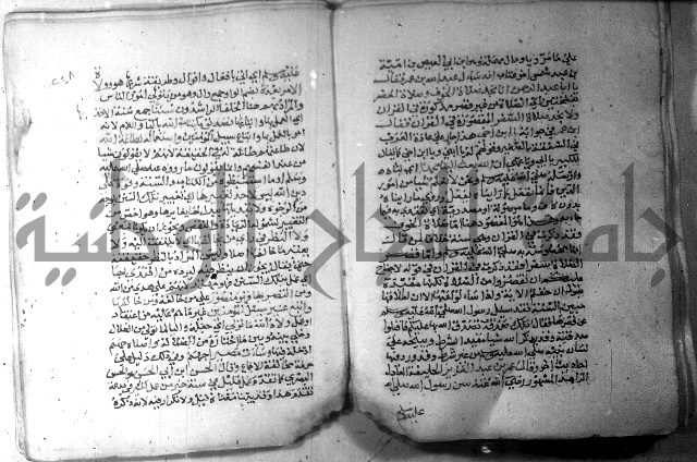 نسيم الرياض 3 