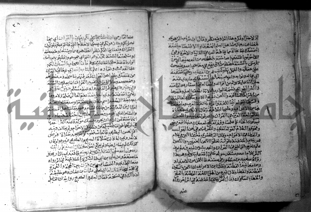 نسيم الرياض 3 