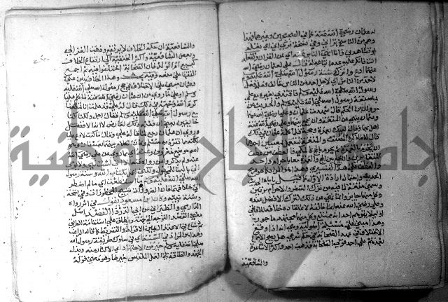 نسيم الرياض 3 