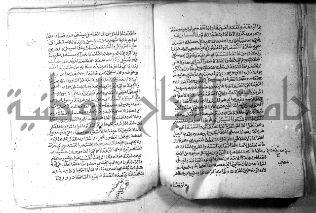 نسيم الرياض 3 