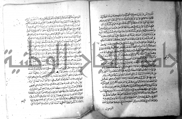 نسيم الرياض 3 