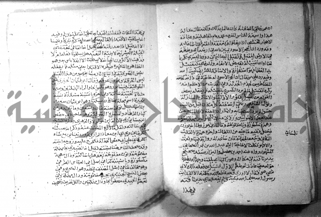 نسيم الرياض 3 