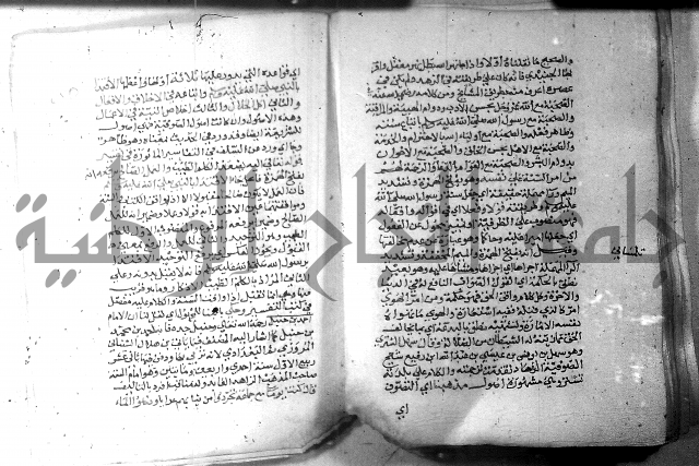 نسيم الرياض 3 