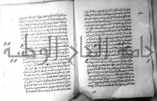 نسيم الرياض 3 